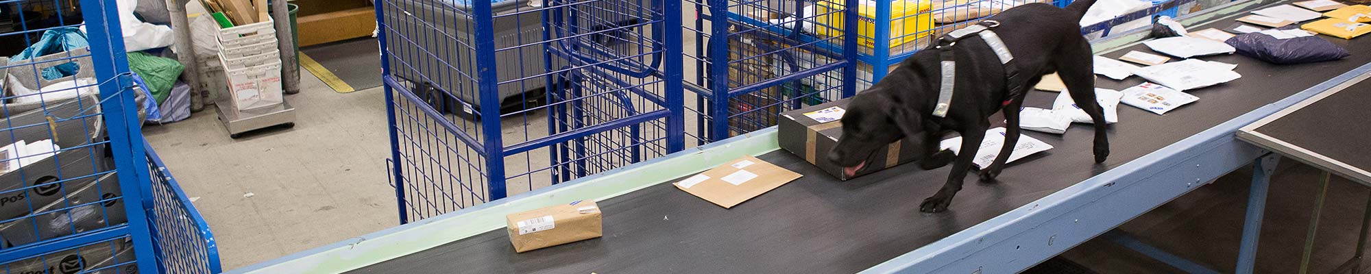 Prohibited and restricted items