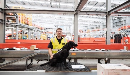 Unloading of import cargo from airplane